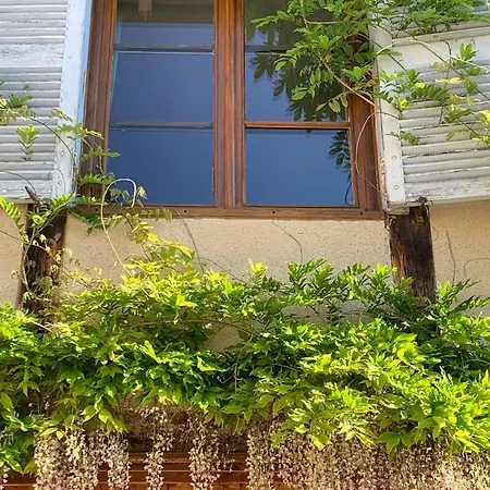 La Ferme Du Puy D'or * Limonest