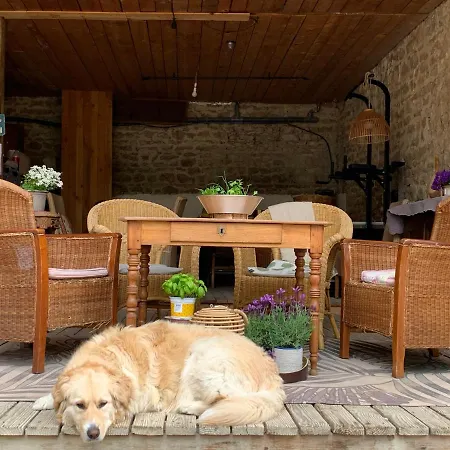 La Ferme Du Puy D'or Lägenhet Limonest